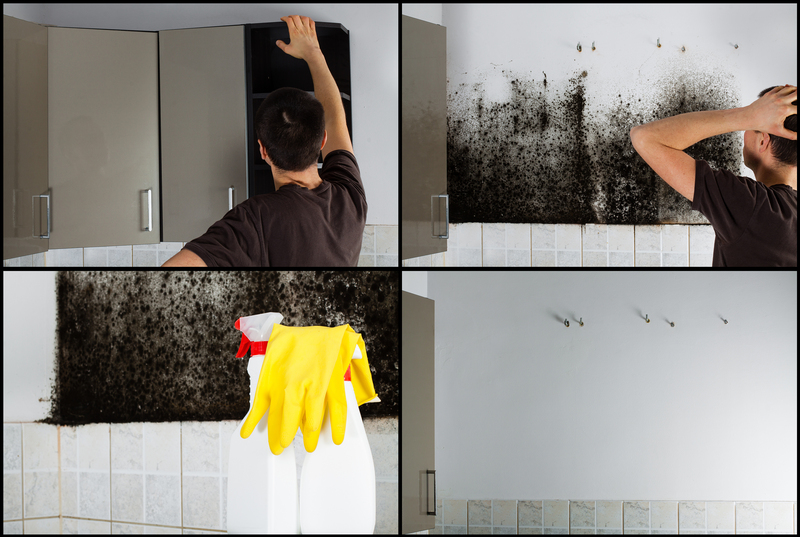 eco-friendly Clean